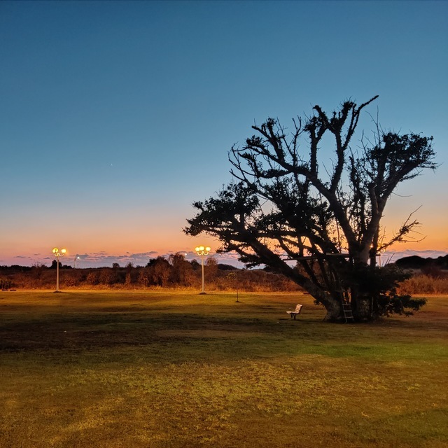 SunsetBot